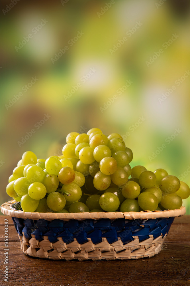 Bunch of green grapes, fruits of autumn, a symbol of abundance on rustic wood background. Bunch of green grapes, fruits of autumn, a symbol of abundance on rustic wood background.