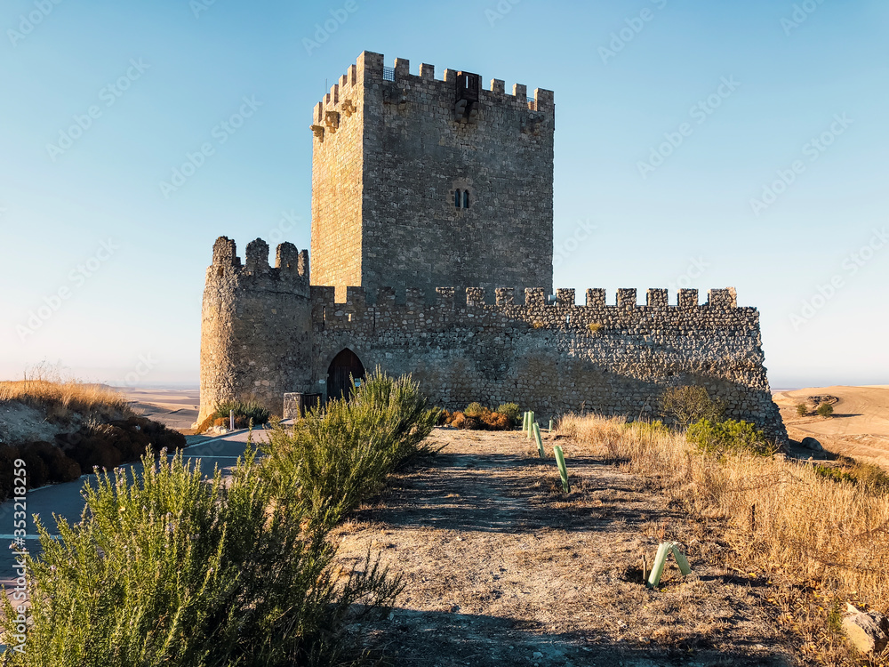 Tiedra castle in Valladolid province, Castilla y León, Spain. A medieval fortress close to the city of Valladolid.