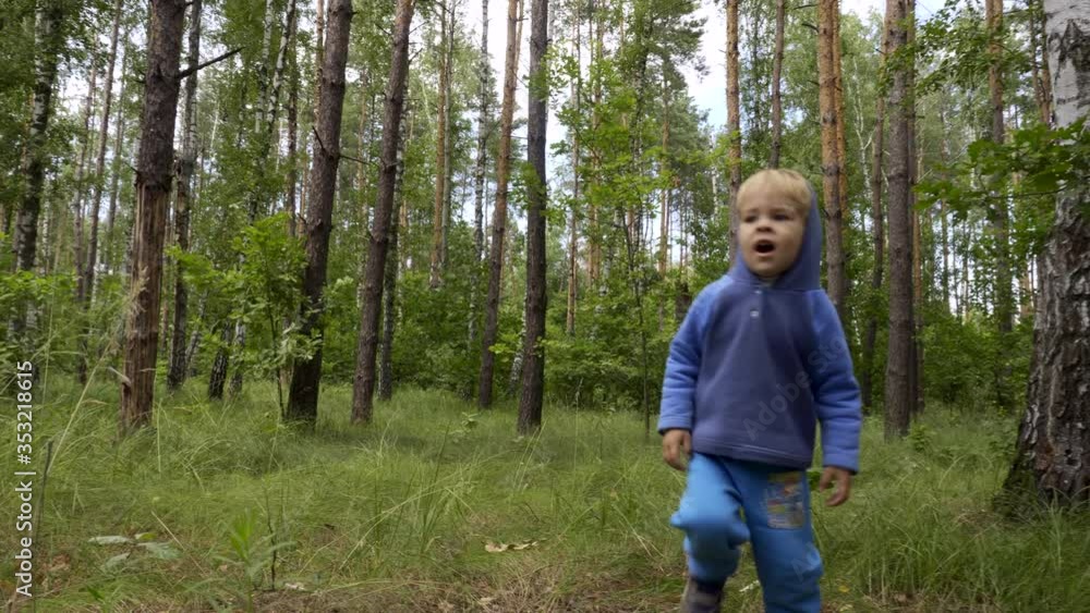 Little Boy Walking Alone in the Forest. Lonely Child Wandering in the Wood. Summer Season Little Boy Walking Alone in the Forest. Lonely Child Wandering in the Wood. Summer Season