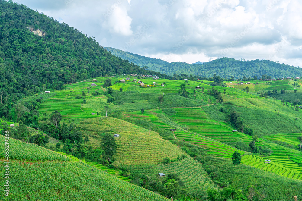 Pa Bong Piang Rice Terraces in Mae Chaem, Chiang Mai, Thailand.