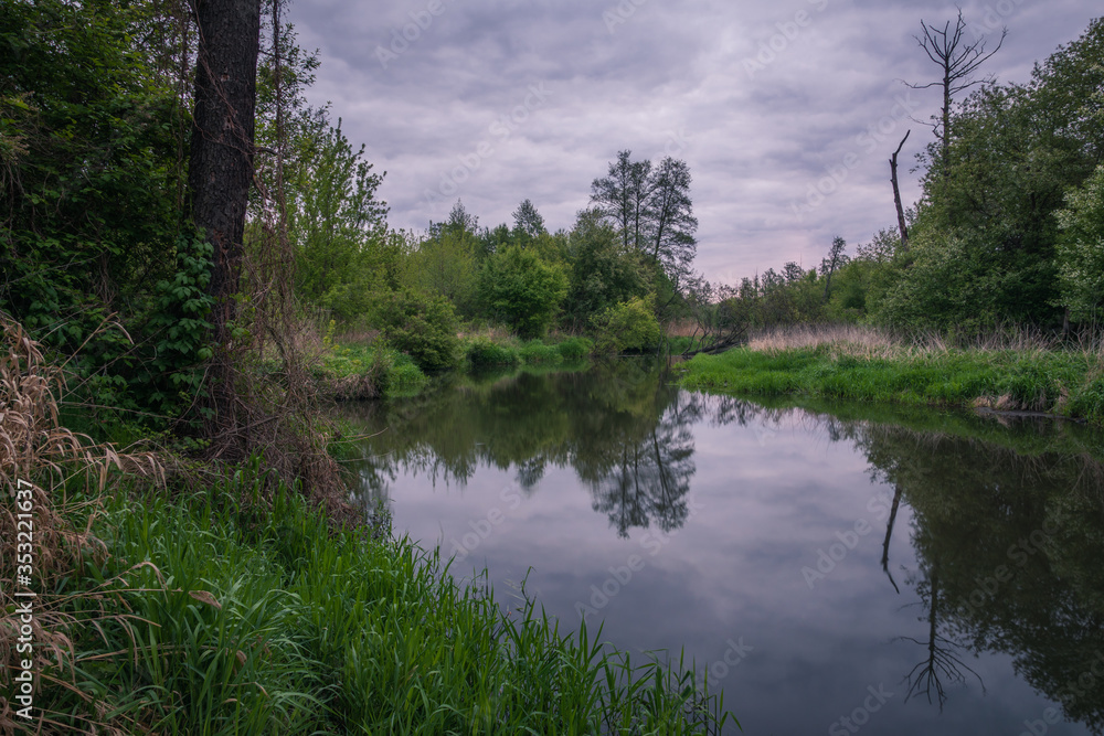 Jeziorka river during cloudy morning at spring near Piaseczno, Poland