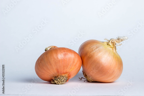 Two onions lie on a white background.