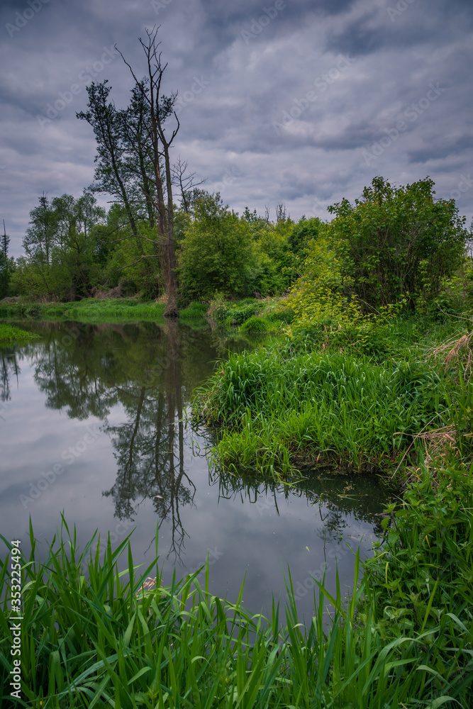 Jeziorka river during cloudy morning at spring near Piaseczno, Poland