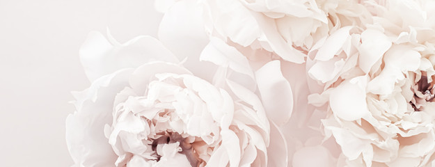 Papier peint photo Magasin de fleurs Pivoines pastel en fleurs romantiques  © Anna Studio