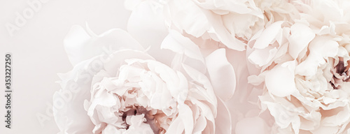 Pastelowe kwiaty piwonii w rozkwicie jako tło kwiatowy, dekoracje ślubne i luksusowy projekt marki