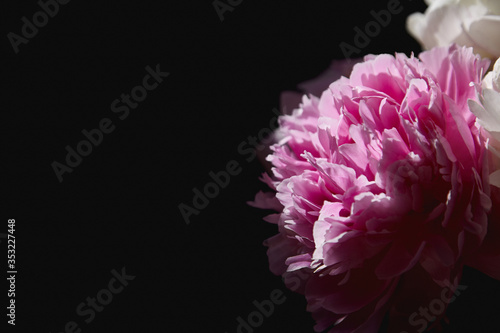 Gentle pions against a dark background