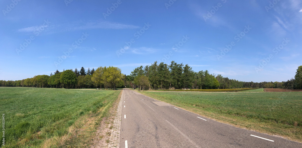 Panorama from a road through the forest around Beerze