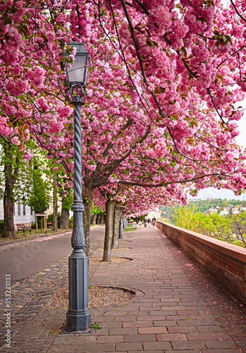 Photography Amazing spring cityscape in Buda Castle district, Budapest, Hungary