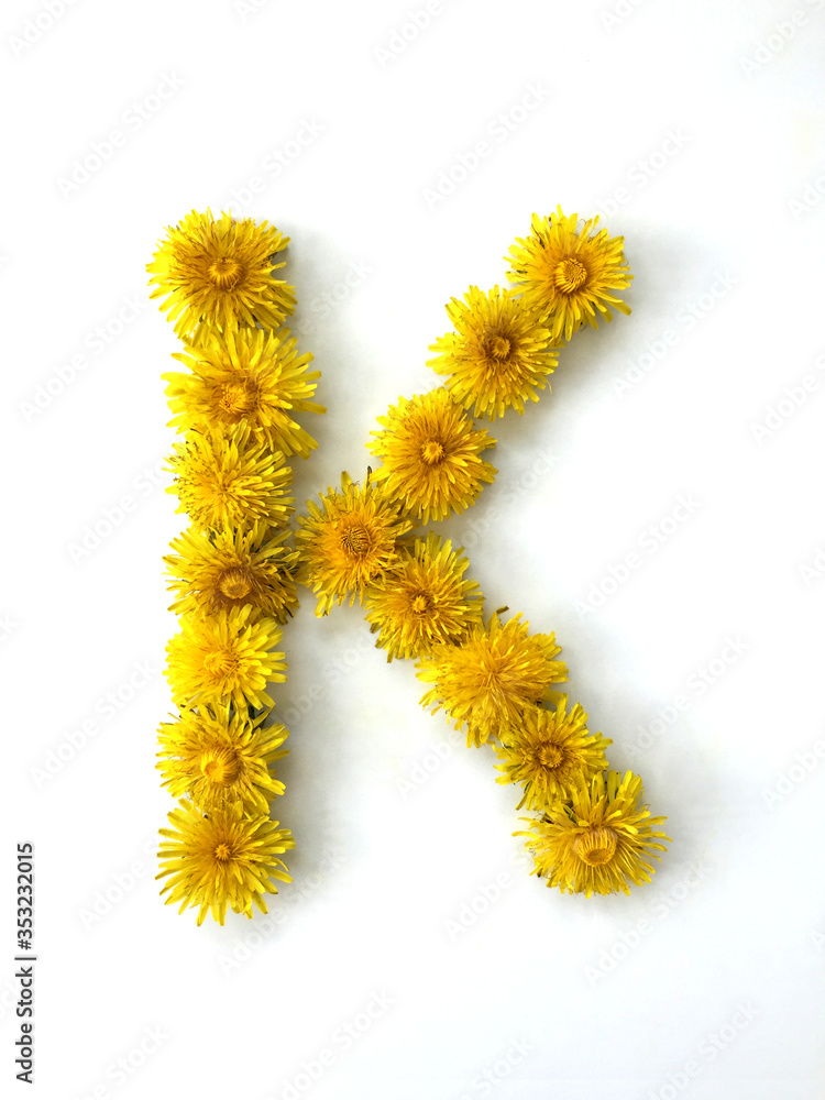 The letter К is made out of dandelion flowers on a white background The letter К is made out of dandelion flowers on a white background