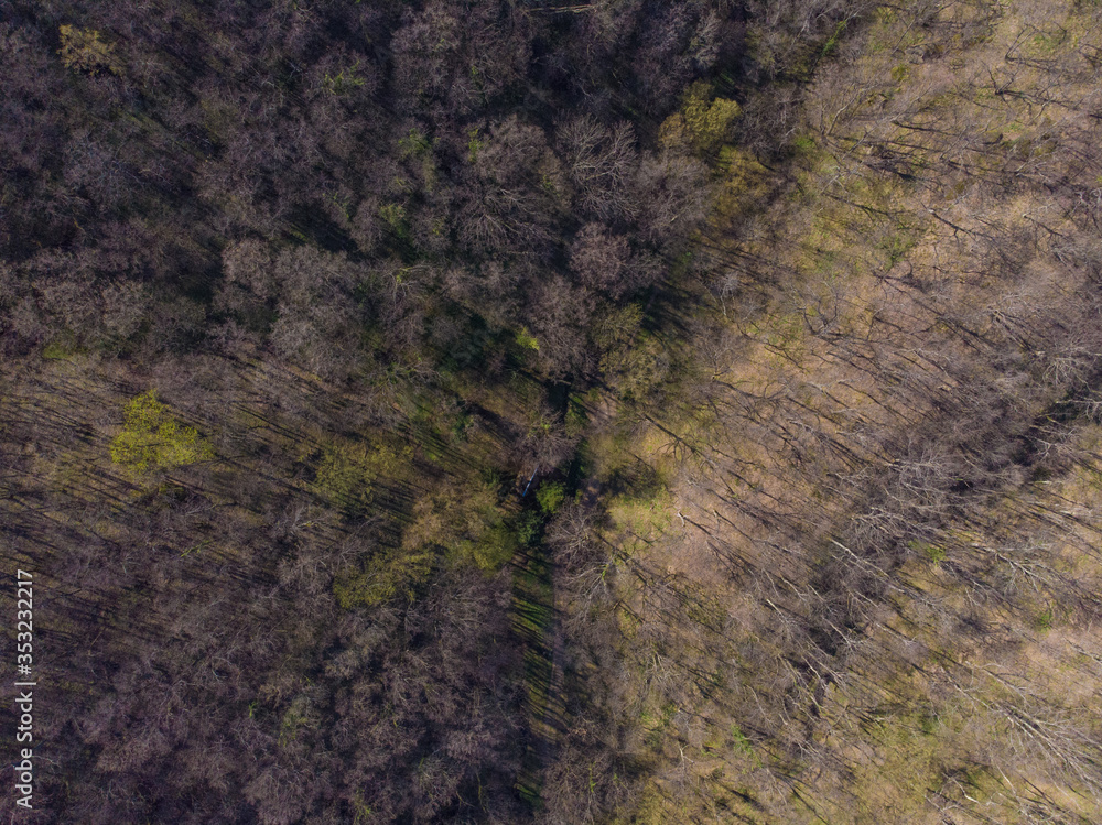 Concept of aerial view of forest. Aerial photography. Concept of aerial view of forest. Aerial photography.