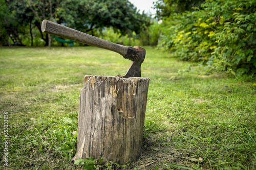 An ax sticking out of a stump in the backyard