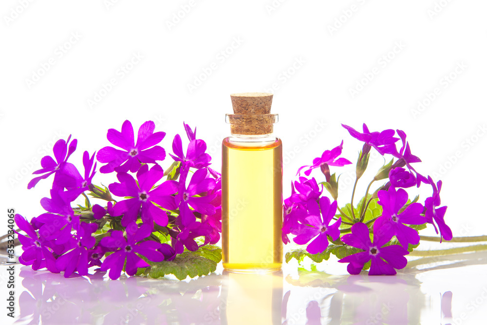 primrose essential oil in beautiful bottle on table primrose essential oil in beautiful bottle on table