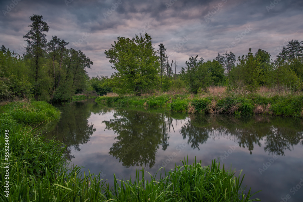Jeziorka river during cloudy morning at spring near Piaseczno, Poland