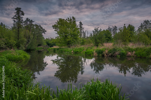 Obraz na płótnie Jeziorka river during cloudy morning at spring near Piaseczno, Poland w salonie