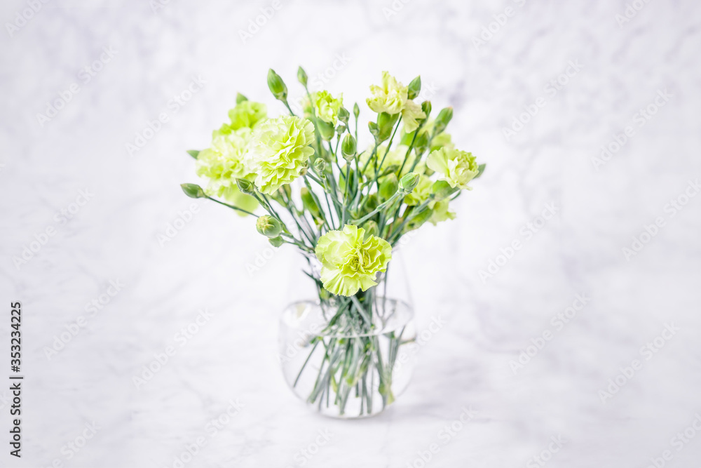 Bouquet of light green carnation flowers on a white marble background