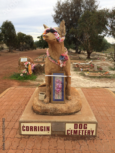 Corrigin Dog Cemetery photo