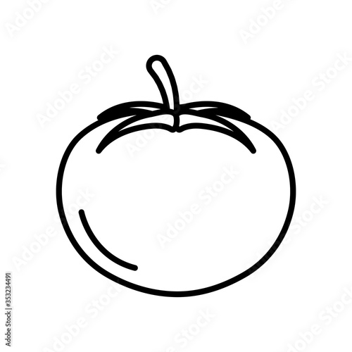 tomato vegetable icon, line style