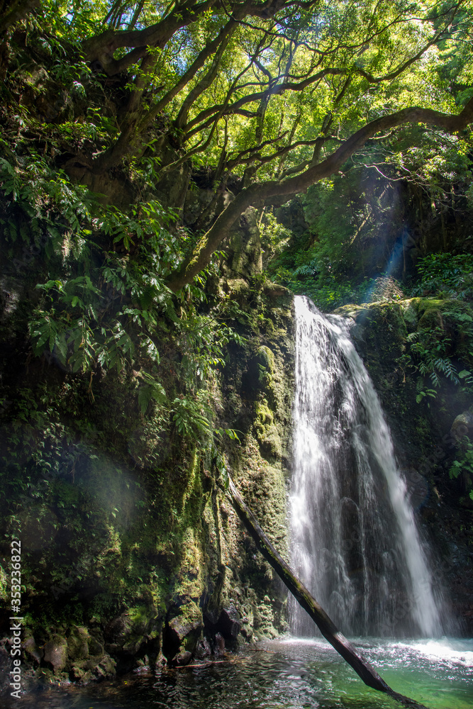 walk and discover the prego salto waterfall on the island of sao miguel, azores walk and discover the prego salto waterfall on the island of sao miguel, azores