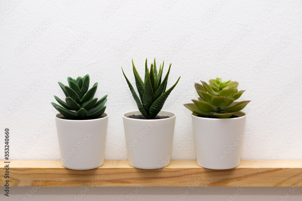 Modern fake plants in a pot on a wooden shelf Modern fake plants in a pot on a wooden shelf