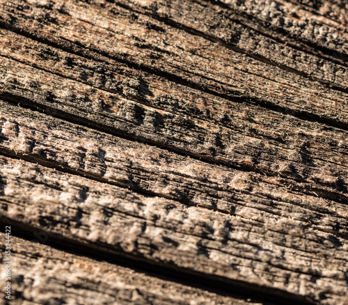 Wallpaper Mural holzzaun, holz, abstrakt, todholz, holzknoten, holzstruktur, maserung, alt, altes holz Torontodigital.ca