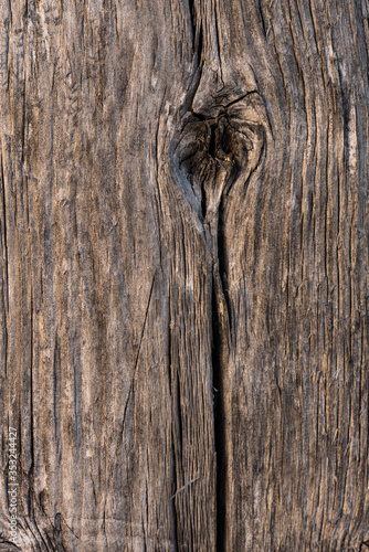 Wallpaper Mural Holz, brett, struktur, holzstruktur, holzknoten Torontodigital.ca