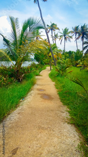 Muddy path near shores of Kerala Backwaters filled with greenery.