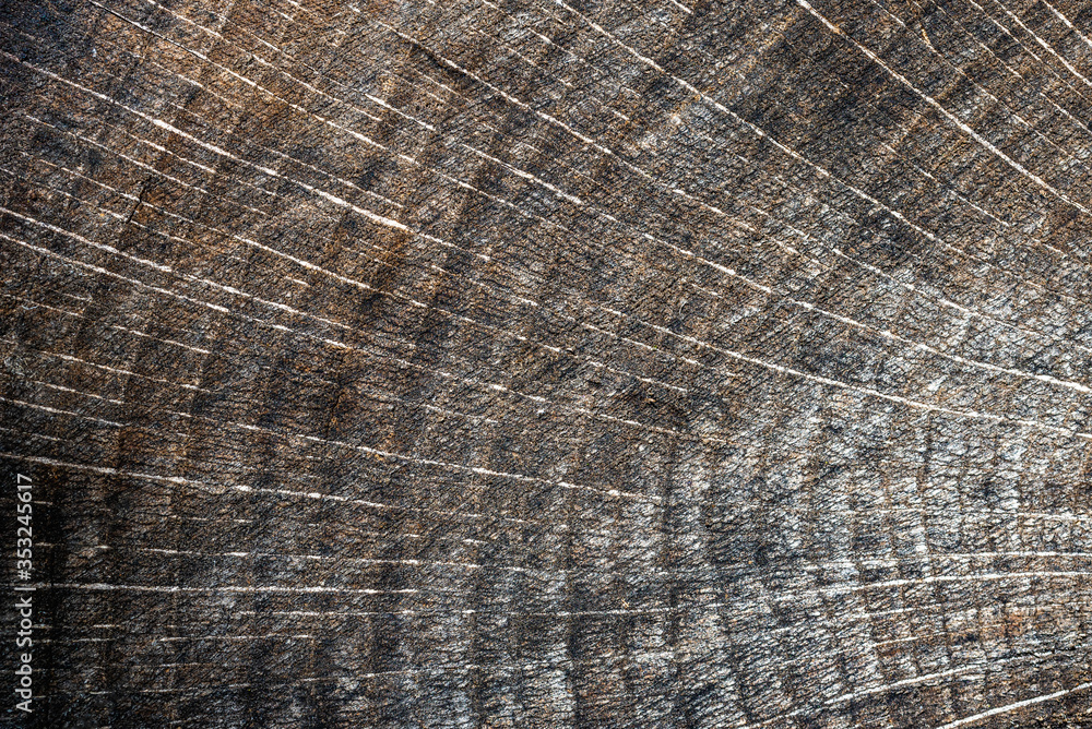 Fototapeta premium wood texture background