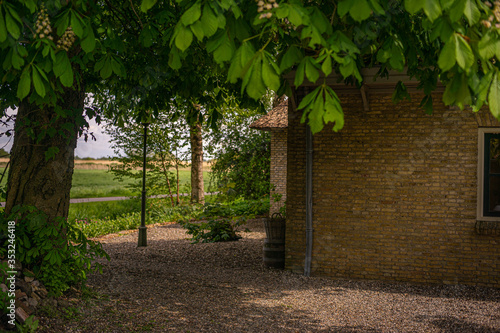 Cosy yard with trees and gravel in the countryside, Tjongerpad, Delfstrahuizen, Friesland. photo