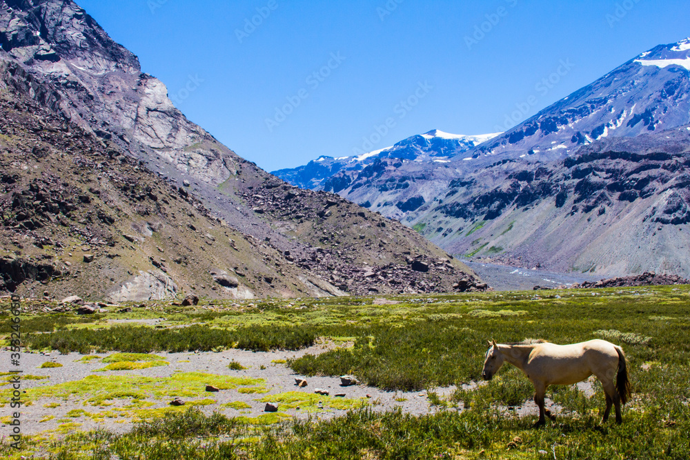 mountain landscape with horse