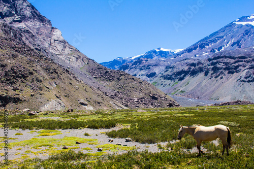 mountain landscape with horse