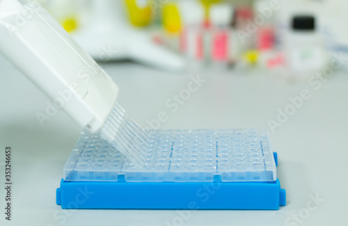 Researcher or scientific using a multichannel micropipette to put the DNA or RNA samples in a 96 wells plate for an experiment in a biotechnology laboratory