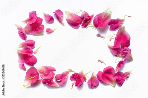 Peony petals laid out in a beautiful frame. Copy space.