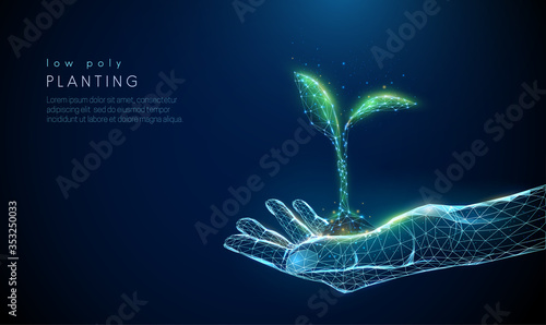 Abstract giving hand with young plant in earth.