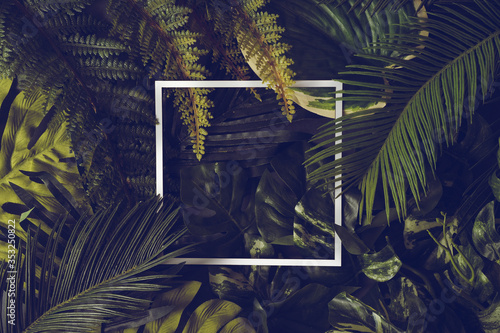 Fototapeta Naklejka Na Ścianę i Meble -  Banner with green tropical leaves on dark background. Exotic botanical design for cosmetics, spa, perfume, beauty salon, travel agency, florist shop. Best as wedding invitation cards.