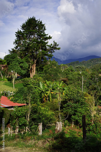 Salento resort , Colombia, South America