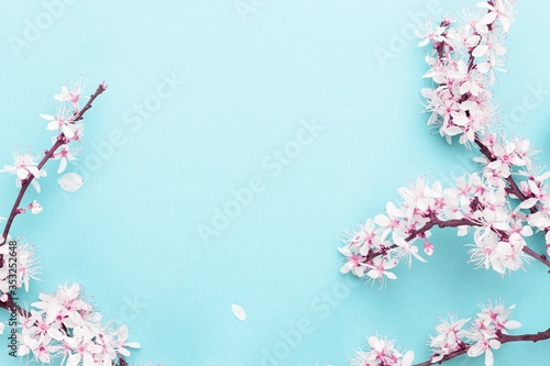 Spring border, spring blossom and April floral nature on blue background. Branches of blossoming apricot macro with soft focus. For easter and spring greeting cards with copy space. Springtime.