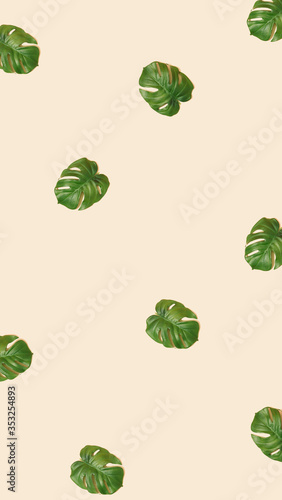 Creative layout made of tropic monstera leaves on pastel background. Minimal summer exotic concept with copy space. Tropical background.