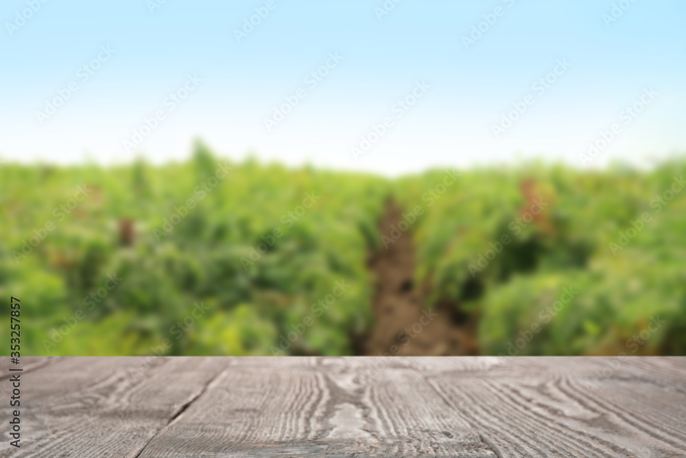 Empty wooden surface and blurred view of carrot field on sunny day. Space for text Empty wooden surface and blurred view of carrot field on sunny day. Space for text