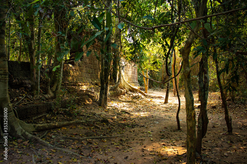 A beautiful view of Ta Phrom temple at Siem Reap, Cambodia.