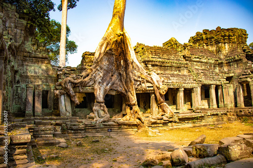 A beautiful view of Ta Phrom temple at Siem Reap, Cambodia.