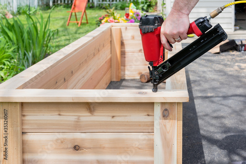 Closeup of a man using a power nail gun to build raised garden beds, with sawdust flying photo