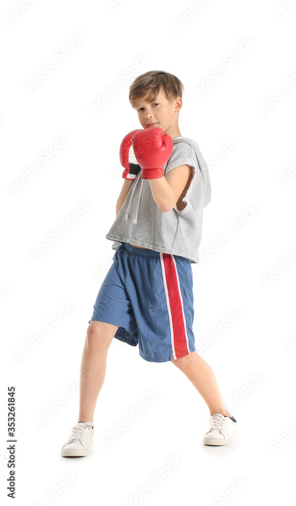 Cute little boxer on white background Cute little boxer on white background