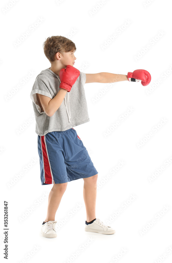 Cute little boxer on white background Cute little boxer on white background