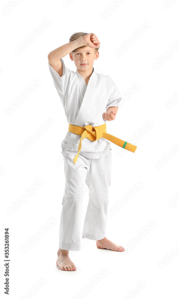 Little boy practicing karate on white background Little boy practicing karate on white background