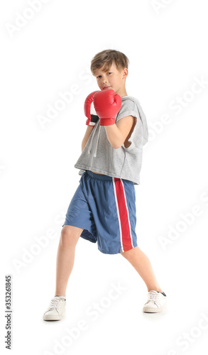 Cute little boxer on white ...