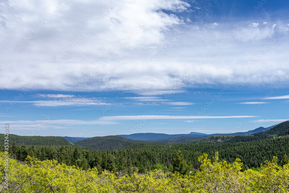 summer landscape with blue sky and clouds overlooking the pine forest in the New Mexico Rocky Mountains.