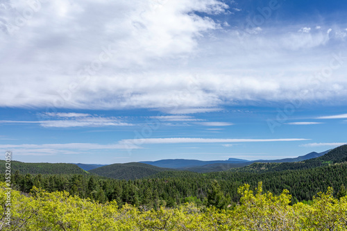 summer landscape with blue sky and clouds overlooking the pine forest in the New Mexico Rocky Mountains.