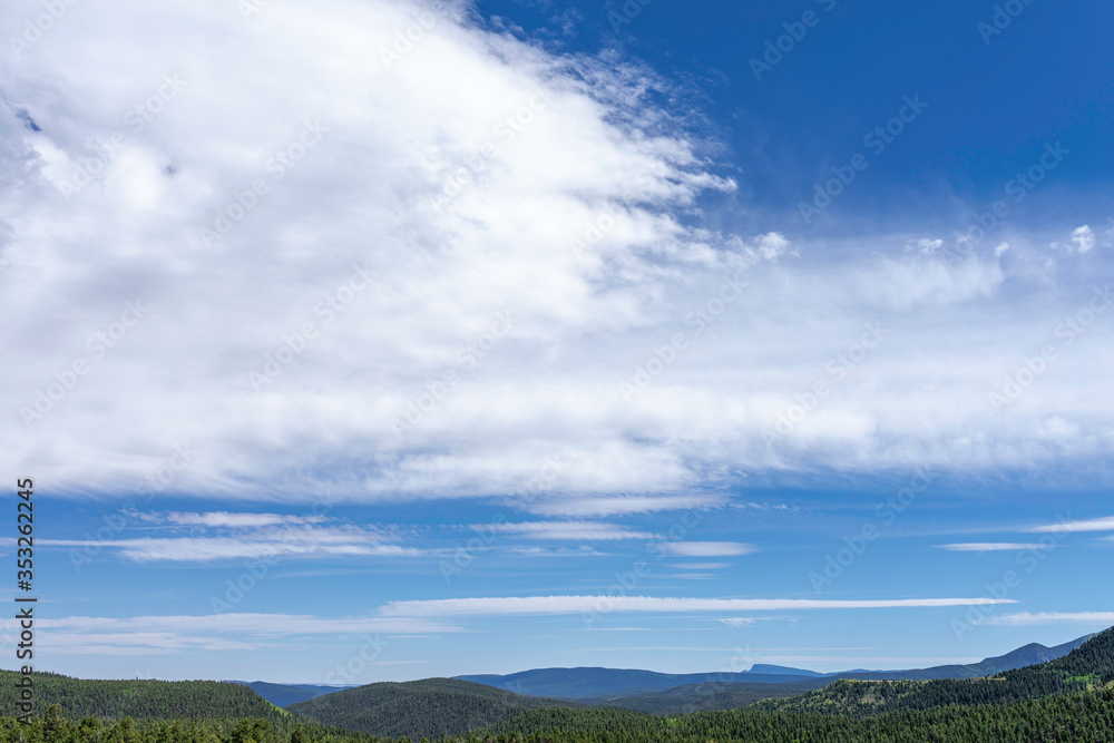 summer landscape with blue sky and clouds overlooking the pine forest in the New Mexico Rocky Mountains.