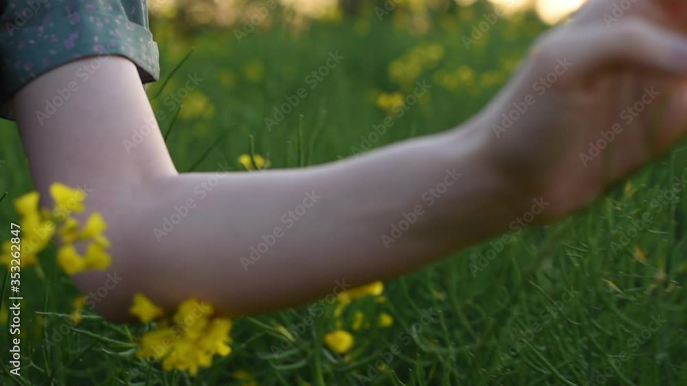 Young woman hand moving over grass field with white yellow flowers with sun soft light. Touching nature plants, close up passing hand. Concept of feeling free and happy, optimistic. New life. Young woman hand moving over grass field with white yellow flowers with sun soft light. Touching nature plants, close up passing hand. Concept of feeling free and happy, optimistic. New life.