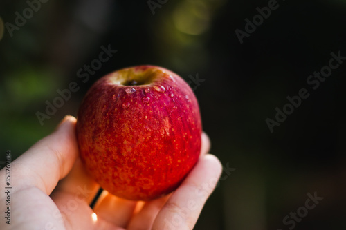 delicious apples background